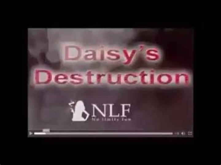 Daisy's Devastating Destruction: A Tragic Loss