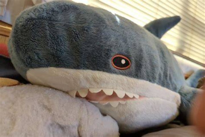 Everything You Need to Know About Blahaj Shark: The Ultimate Plush Companion