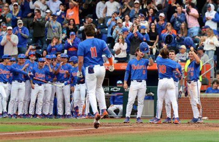 Gator Baseball: A Deep Dive into the Legacy of Florida’s Baseball Program