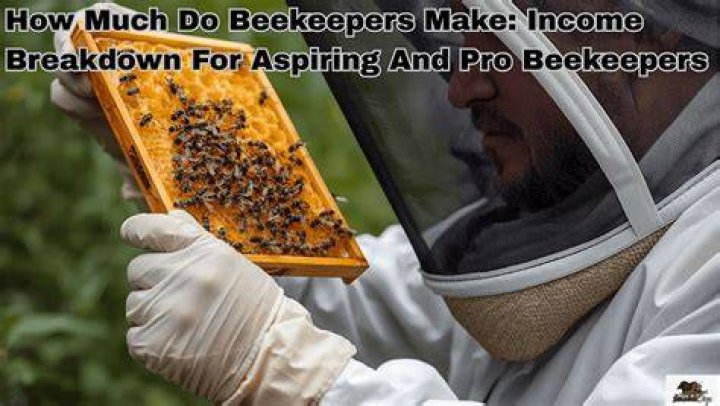How Much Money Do Beekeepers Make a Year?