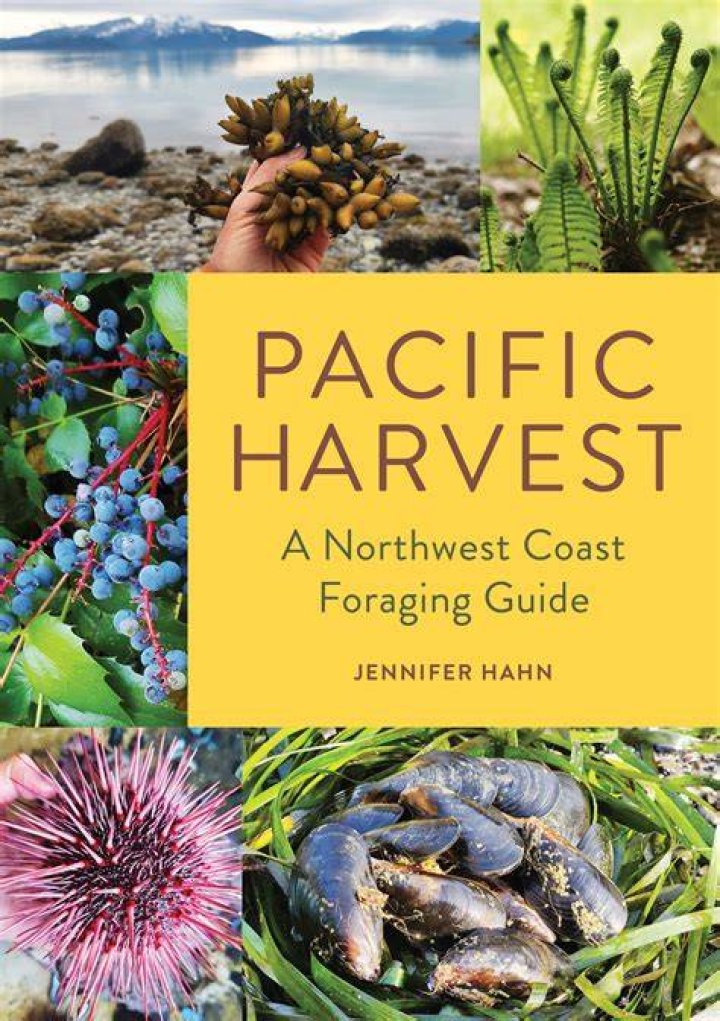 Little Beach Harvest: A Guide to Sustainable Foraging and Culinary Delights